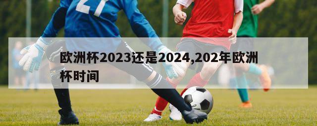 欧洲杯2023还是2024,202年欧洲杯时间
