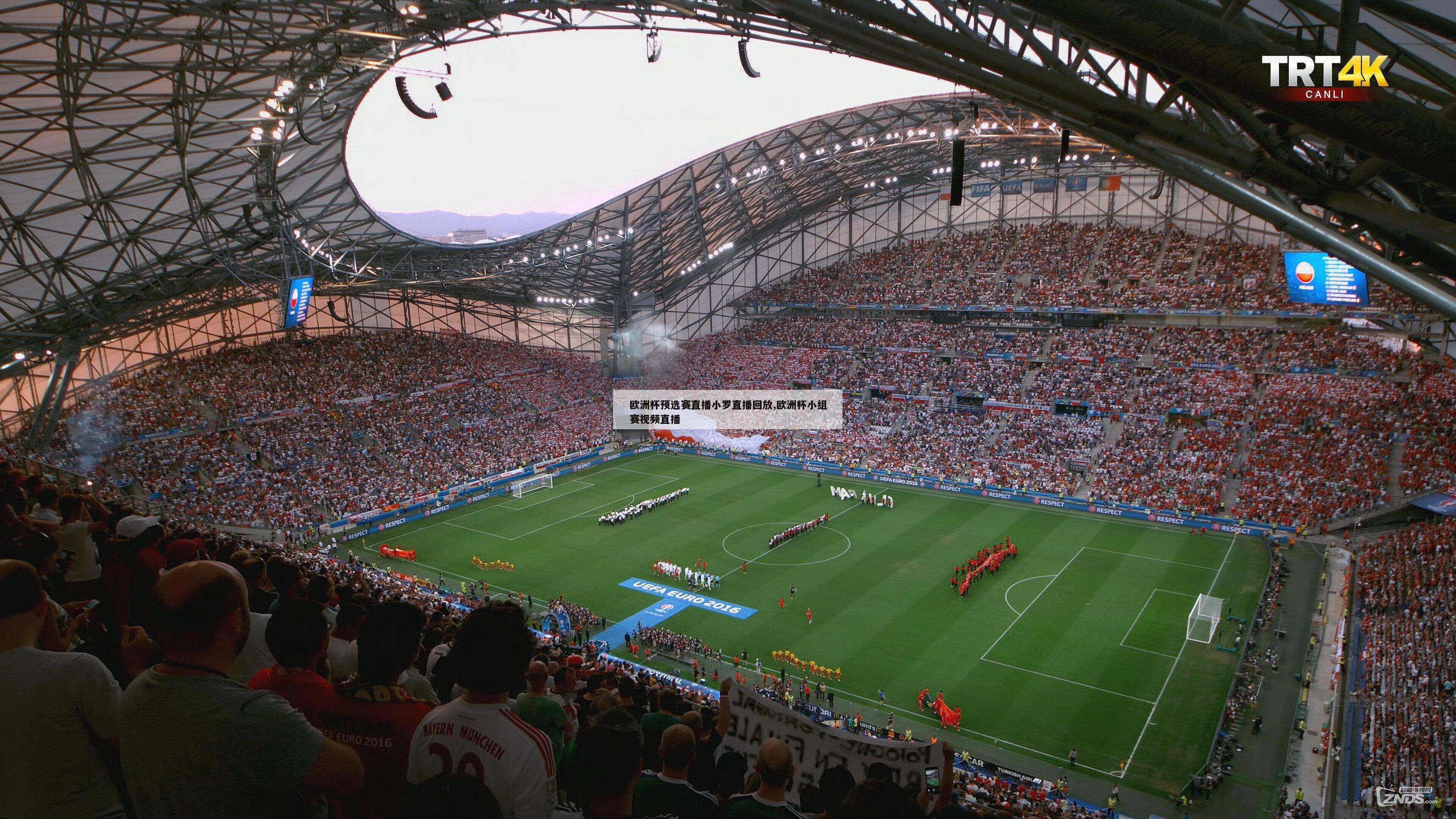 欧洲杯预选赛直播小罗直播回放,欧洲杯小组赛视频直播
